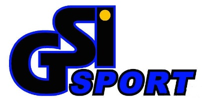 Логотип GSI SPORT Логотип GSI SPORT